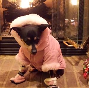 Meet your Posher, Glendine